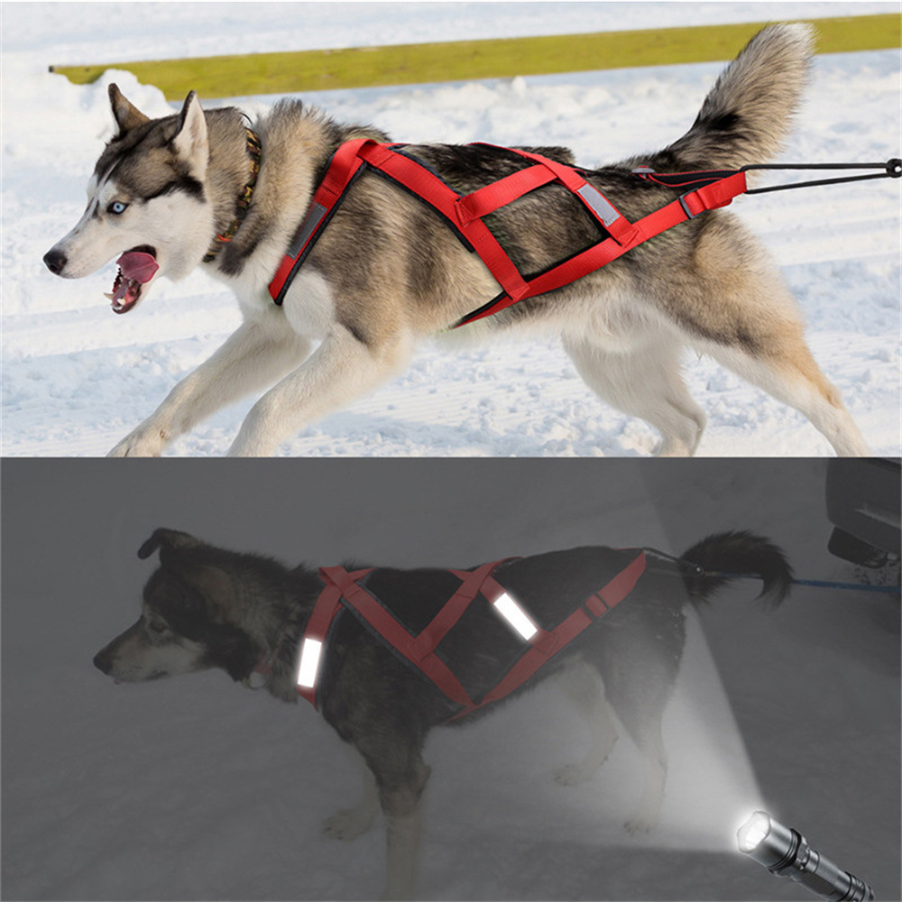 High Quality Big Dog Sledge Ha - огляд і ціна Reflective Jacket Running