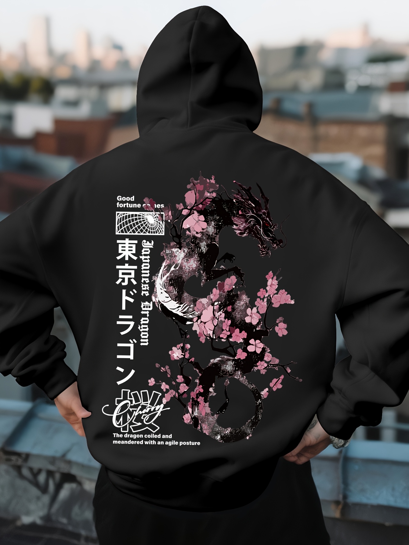 Mens Hip Hop Sports Hoodie Aes - огляд і ціна Street Fashion Asian