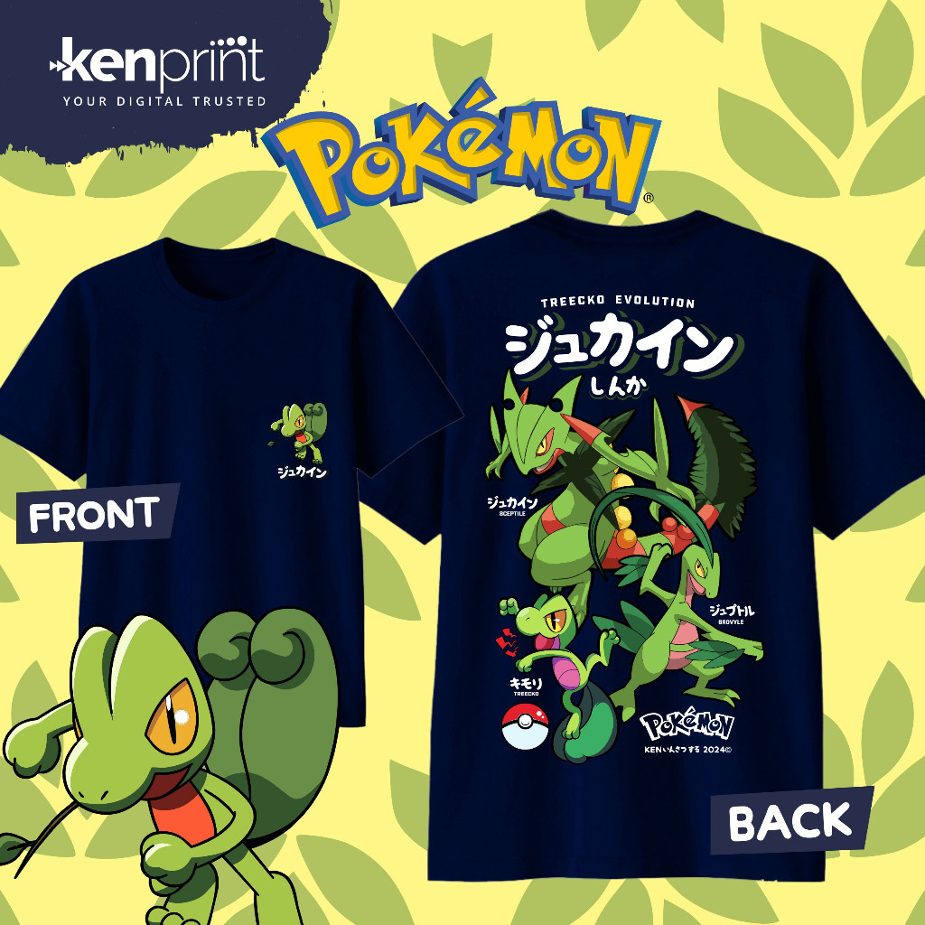 Anime Pokémon Treecko Evolutio - огляд і ціна Street Fashion Evolution